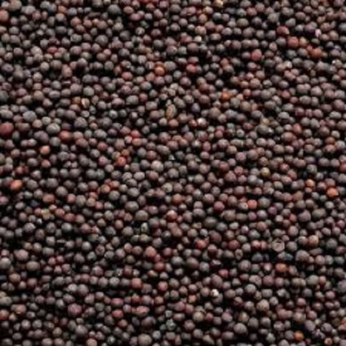 Fresh Black Mustard Seeds(Good For Fever And Cold)