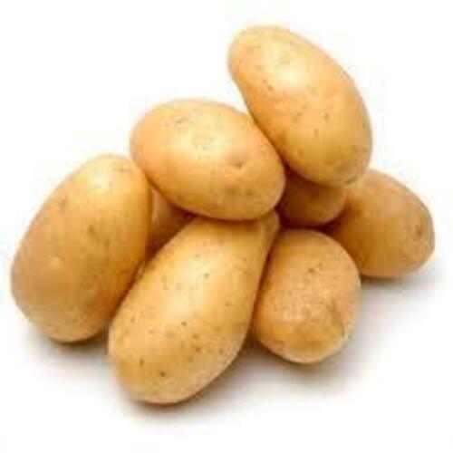 Fresh Potato - Brown, Round & Oval, Raw | Natural Taste, Chemical-Free, Safe Packaging, Ideal for Cooking, Grown in India