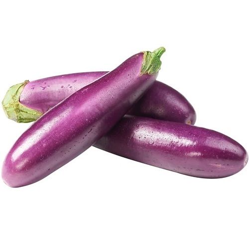 A Grade 100% Pure and Natural Farm Fresh Long Brinjal Use For Cooking