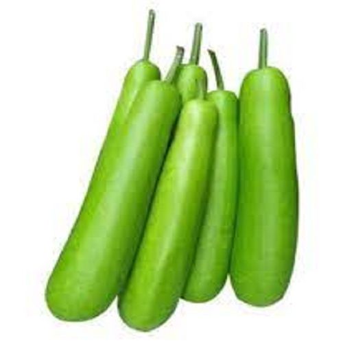 A Grade 100% Pure And Natural Fresh Green Bottle Gourd For Cooking Moisture (%): 78%