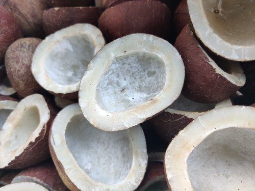 Brown A Grade Pure Matured Dried Coconut Copra For Pooja And Sweets