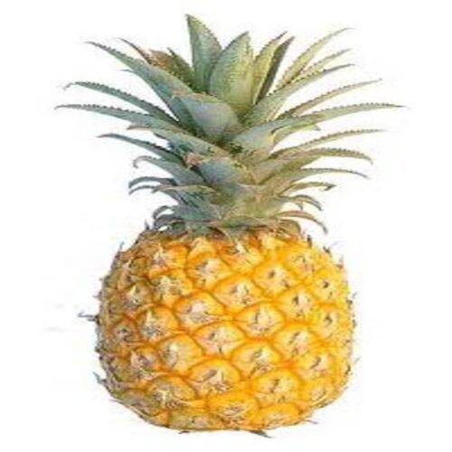 Antioxidants Chemical Free Juicy Rich Delicious Taste Healthy Ripe Pineapple Origin: India