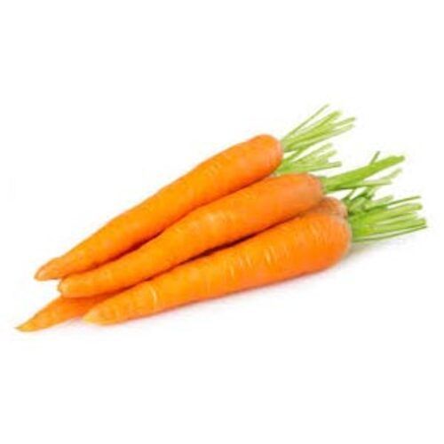 Chemical Free High Fiber Healthy Natural Rich Taste Orange Fresh Carrot