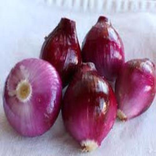 Enhance The Flavor Rich Healthy Natural Taste Fresh Red Onion