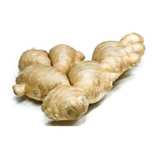 Fine Rich Healthy Natural Taste Chemical Free Brown Organic Fresh Ginger