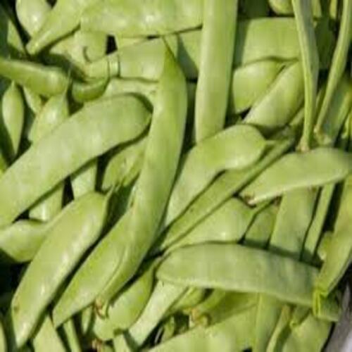 Healthy Rich Natural Taste Chemical Free Green Fresh Flat Beans