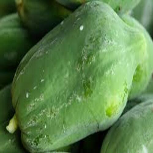 Healthy Rich Natural Taste Easy to Digest Green Fresh Raw Papaya