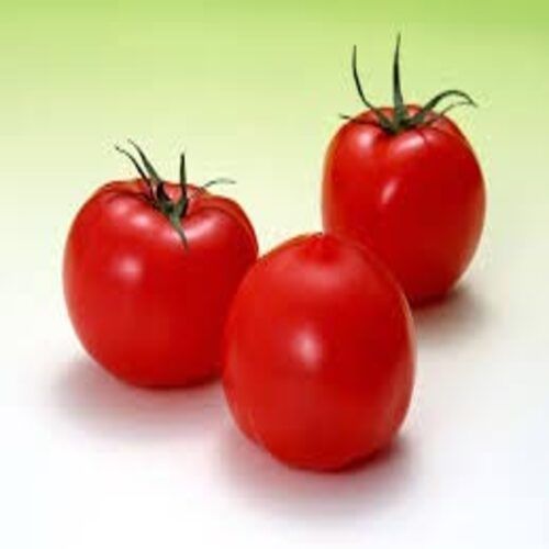 Round & Oval Mild Flavor No Artificial Color Healthy Natural Taste Organic Red Fresh Tomato