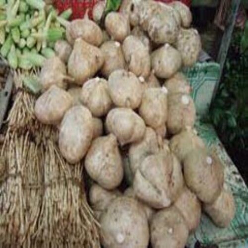 Rich Natural Fine Taste Chemical Free Organic Brown Fresh Yam