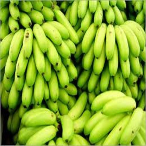 Rich Natural Taste Chemical Free Healthy Green Fresh Raw Banana