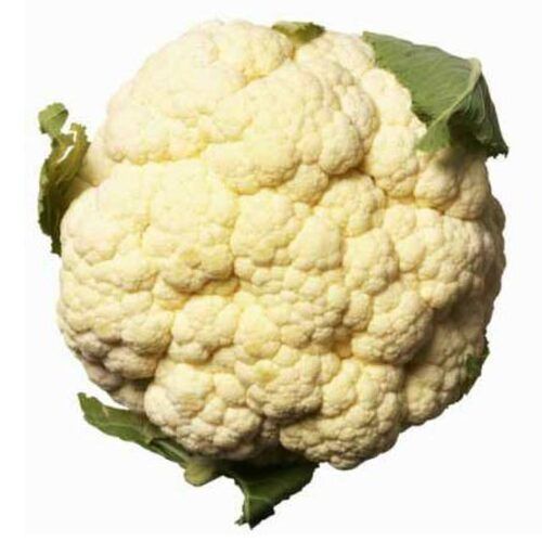 Chemical Free Rich Natural Delicious Taste Healthy White Fresh Cauliflower