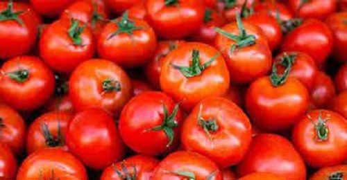 Fresh New Red Raw Juicy Tomatoes Vegetables