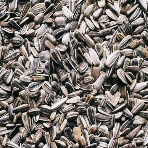 Sunflower Seeds With Black Colour(Contain Vitamin E)