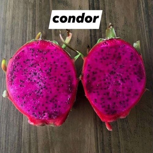 25 Pink Fruits (Different Types) - Insanely Good
