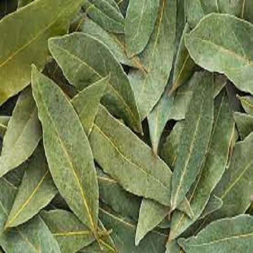 Bay Leaf (Tej Patta) Give Food Tasty And Aromatic
