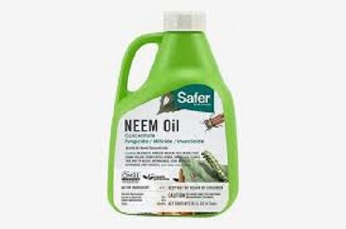 Brand Safer Insect Killing Neem Oil 