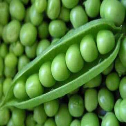 Rich Delicious Healthy Natural Taste Chemical Free Fresh Green Peas