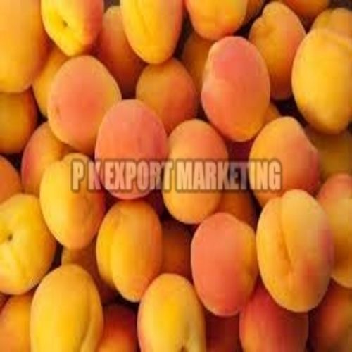 Chemical Free Fine Sweet Delicious Rich Natural Taste Healthy Fresh Apricot