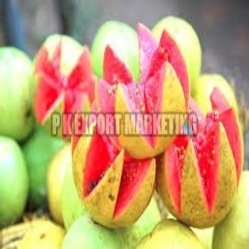 Fine Sweet Delicious Rich Natural Taste Chemical Free Healthy Fresh Guava