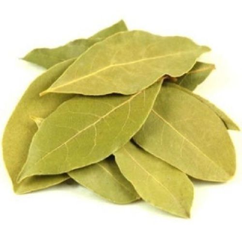 Dried Green Color A Grade Solid Form Fresh And Organic Bay Leaf