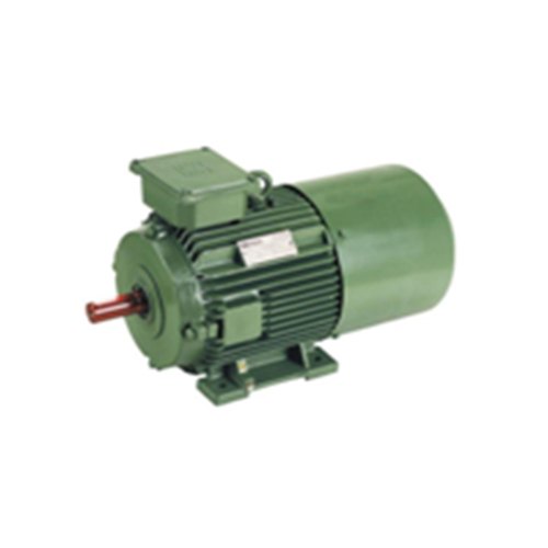 Inverter Duty Electric Motors - Color: Off Green