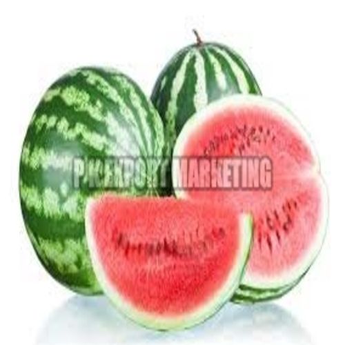 Juicy Rich Natural Delicious Fine Taste Healthy Green Organic Fresh Watermelon