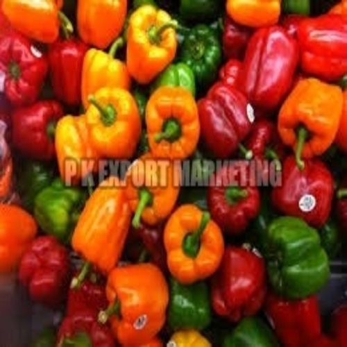 No Artificial Color Natural Fine Rich Taste Chemical Free Fresh Bell Peppers Very Good