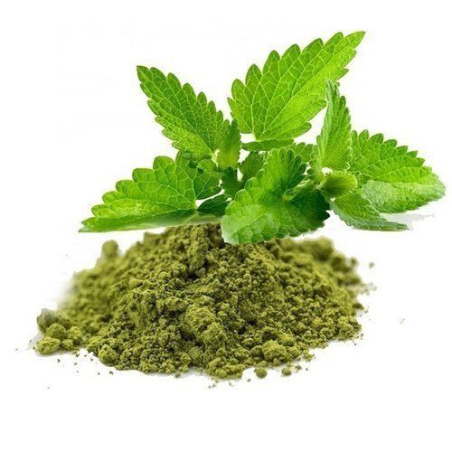 Tulsi Dry Extract Powder For Medicinal Use Ingredients: Herbs