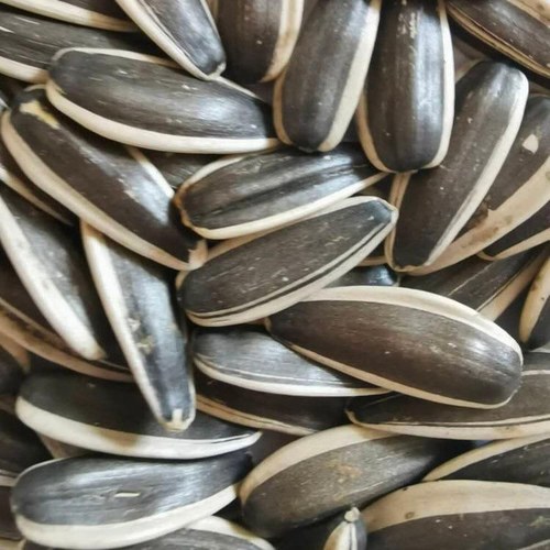Black Natural Sunflower Seeds By WSSB