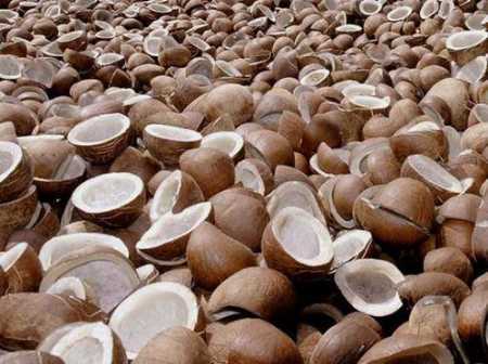 Wholesale Price Export Quality Sun Dry Pure Copra Coconut For Human Consumption