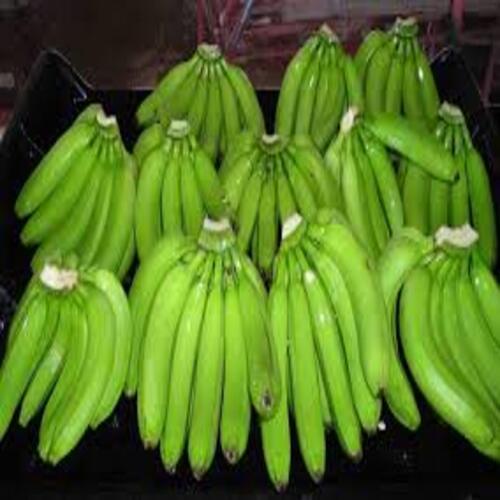 Absolutely Delicious Rich Natural Taste Chemical Free Healthy Fresh Green Banana