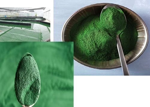 Gluten Free, No GMO, Protein Rich, 100% Pure and Natural Spirulina Powder