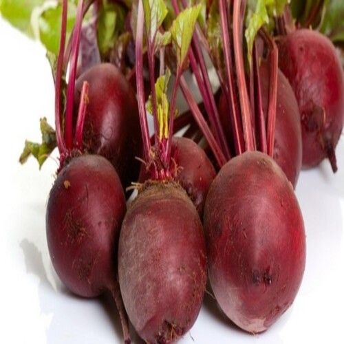 Healthy Natural Rich Fine Taste Chemical Free Red Fresh Beetroot