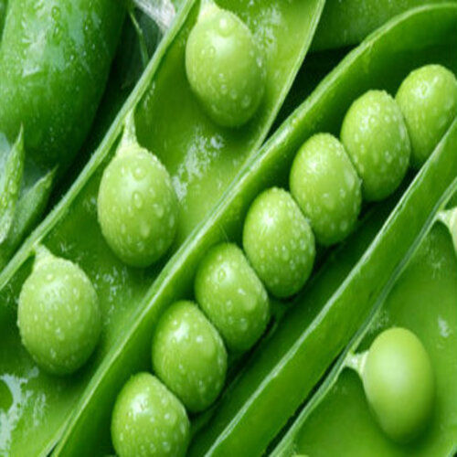 Healthy Natural Taste No Artificial Color Chemical Free Fresh Green Peas