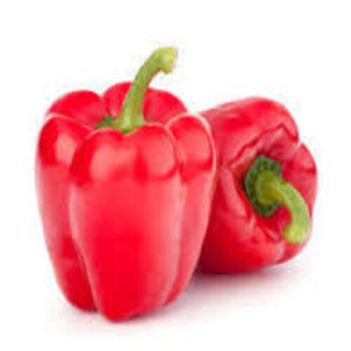 Natural Fine Rich Taste Chemical Free Healthy Fresh Red Capsicum