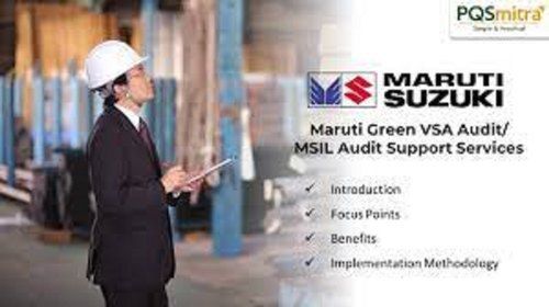 VSA Auditing Service