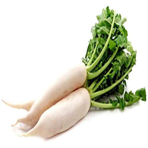 Chemical Free Healthy Natural Rich Taste High Fiber White Fresh Radish