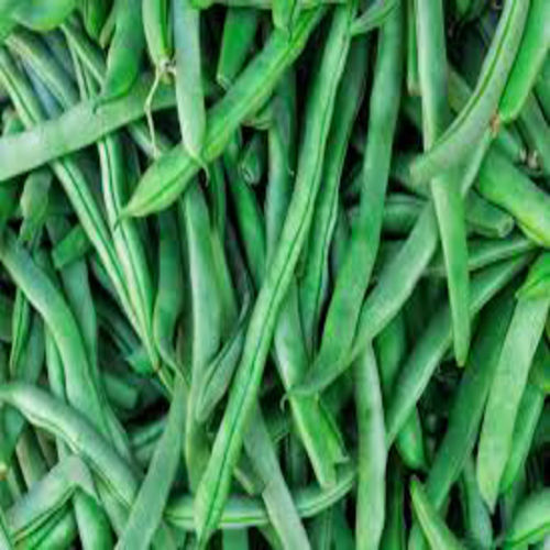 Chemical Free High Fiber Healthy Natural Taste Green Fresh Cluster Beans