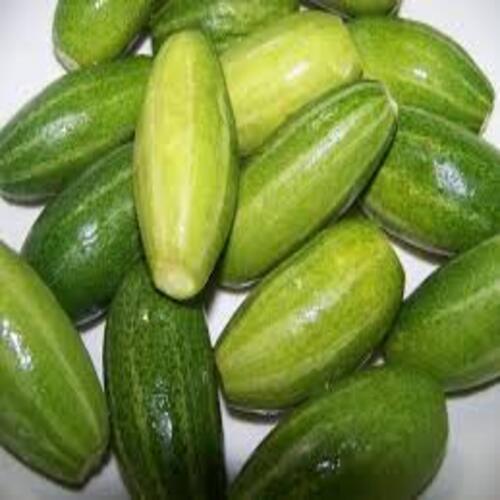 Healthy Rich Natural Fine Taste Chemical Free Green Fresh Pointed Gourd