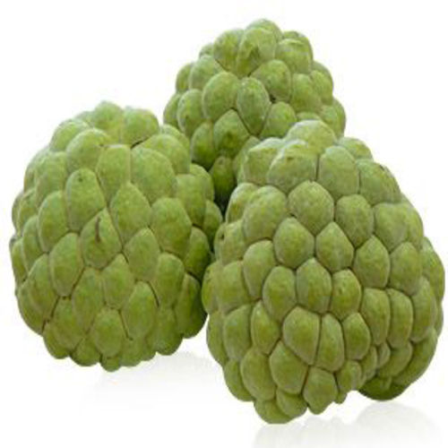 Rich Natural Delicious Taste Chemical Free Healthy Green Fresh Custard Apple