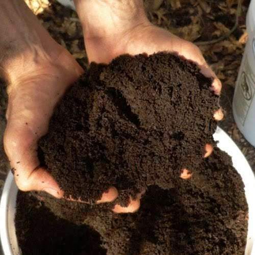 Brown 100% Pure Natural Organic Vermicompost Fertilizers For Plant Growth