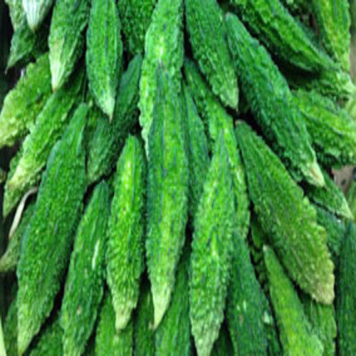 Floury Texture Healthy Natural Rich Taste Green Fresh Bitter Gourd