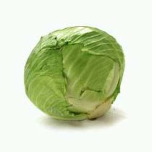 Floury Texture Healthy Rich Natural Fine Taste Green Fresh Cabbage