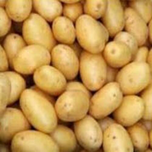 Fresh Potato - Round & Oval, Brown | Raw, Natural Taste, Chemical Free, Safe Packaging, Ideal for Cooking