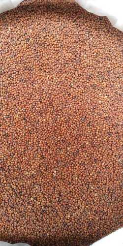 Brown Organic Ragi (Finger Millet) 25-50 Kg With High In Protein And 65-75% Carbohydrates