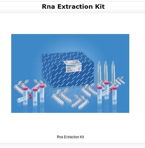 Rna Extraction Kit