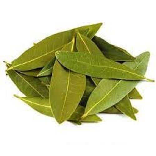 100% Natural, Dried And Flavoured Bay Leaf In Green Color