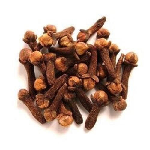 Antioxidants and Antibacteria Whole Natural Premium Clove In Brown Color