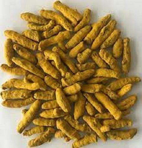Antioxidants and Antibacterial Yellow Color Natural Turmeric