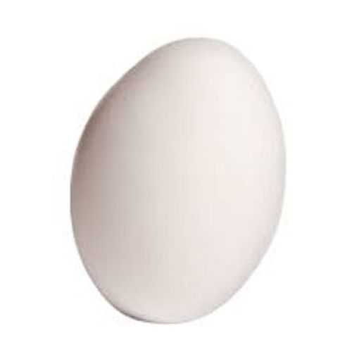 Country Chicken Egg